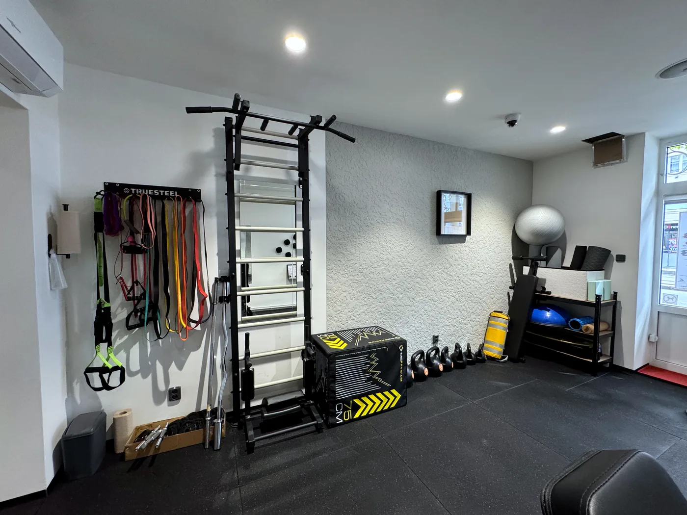 Žebřiny, odporové gumy a plyometrická bedna v posilovně Pražačka Private Gym